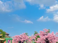 -南昌融创乐园