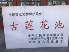 -莲池书院博物馆