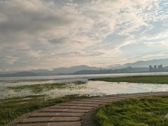 -洱海月湿地公园