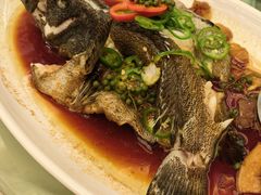 -绿岛国际酒店·海鲜酒楼(八七路店)