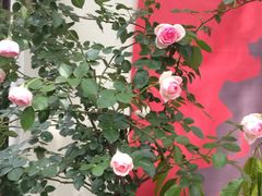 -章太炎故居