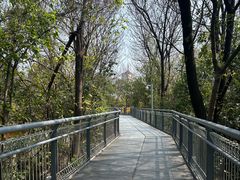 -佛山华盖山公园