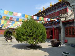 -西安市广仁寺