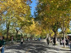 -石家庄市动物园