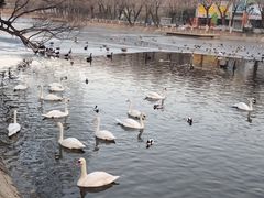 -石家庄市动物园