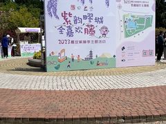 -嘉定紫藤园