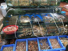 海鲜-香满居张记小厨私房菜(青岛站店)