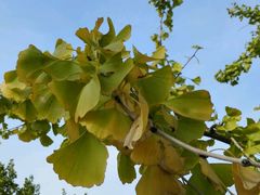 -北京园博大酒店