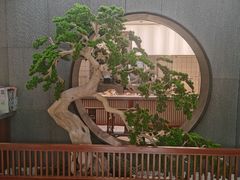 -高玛纳驴肉火烧(河间总店)