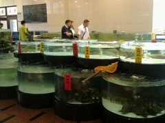 水产区-东豪园林海鲜酒家(南港路辅路店)