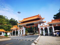 -深圳仙湖植物园