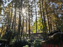 -杭州西湖柳莺里酒店