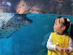 -萌宠奇缘(荣鼎店)