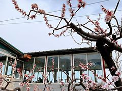 -闻道食府烙饼卷带鱼(原车耳营店原大觉寺店)