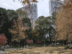 -温江公园