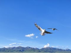 -花湖生态旅游区
