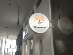 -柴迷FANS CLUB·柴犬狗咖·猫咖