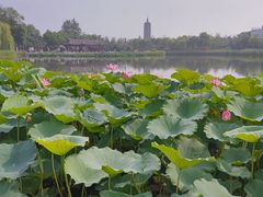 -西海子公园