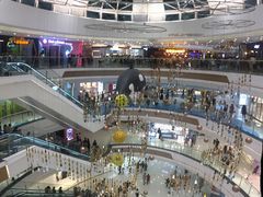 -采御鲜·回转寿司(汕头万达店)