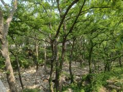 -崂山九水游览区