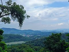 -广州市帽峰山景区