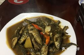 Special Small Fish