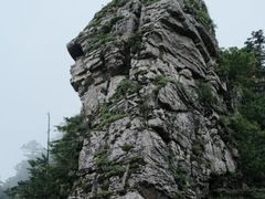 -牛背梁国家森林公园