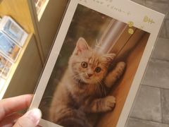 -猫的天空之城概念书店(苏州诚品店)