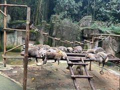 -杭州野生动物世界