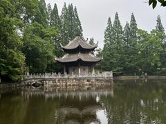 -习家池