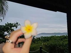 -亚龙湾红树林度假酒店-韩轩韩餐厅