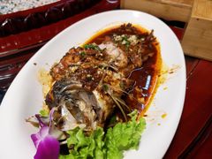 红烧大鲤鱼-海拉尔蒙古包(房山长阳总店)