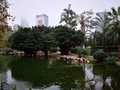 -香港皇家太平洋酒店