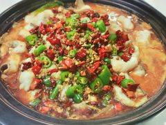 -秦扬居特色菜馆(上王村)