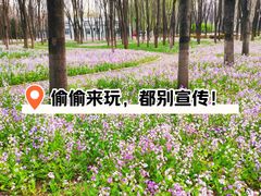 -将府公园