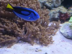 -珠海长隆海洋王国