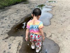 -御林古桑园