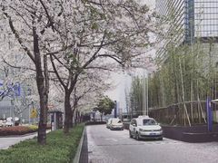 -同济大学(地铁站)
