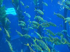 -南昌融创海世界