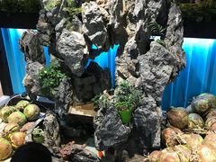 景观位-东椰·海南椰子鸡火锅(朝阳门店)