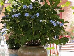 -馨园villa融合菜(东山店)