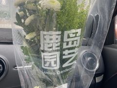 -鹿岛生活(熙地港店)