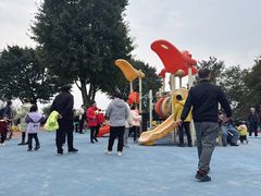 -铁山坪森林公园