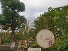 -长田漾湿地公园