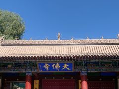-张掖大佛寺景区