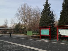 -莲花池公园