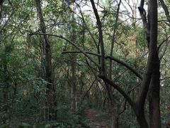 -燕晗山郊野公园