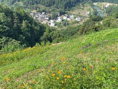 -石潭村
