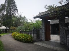 -桤木河湿地公园