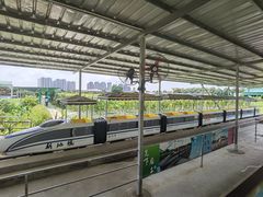 -新地休闲农场